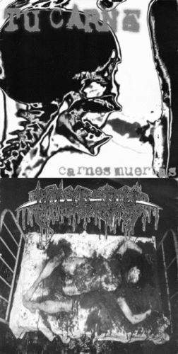 Tu Carne : Carnes Muertas - Untitled